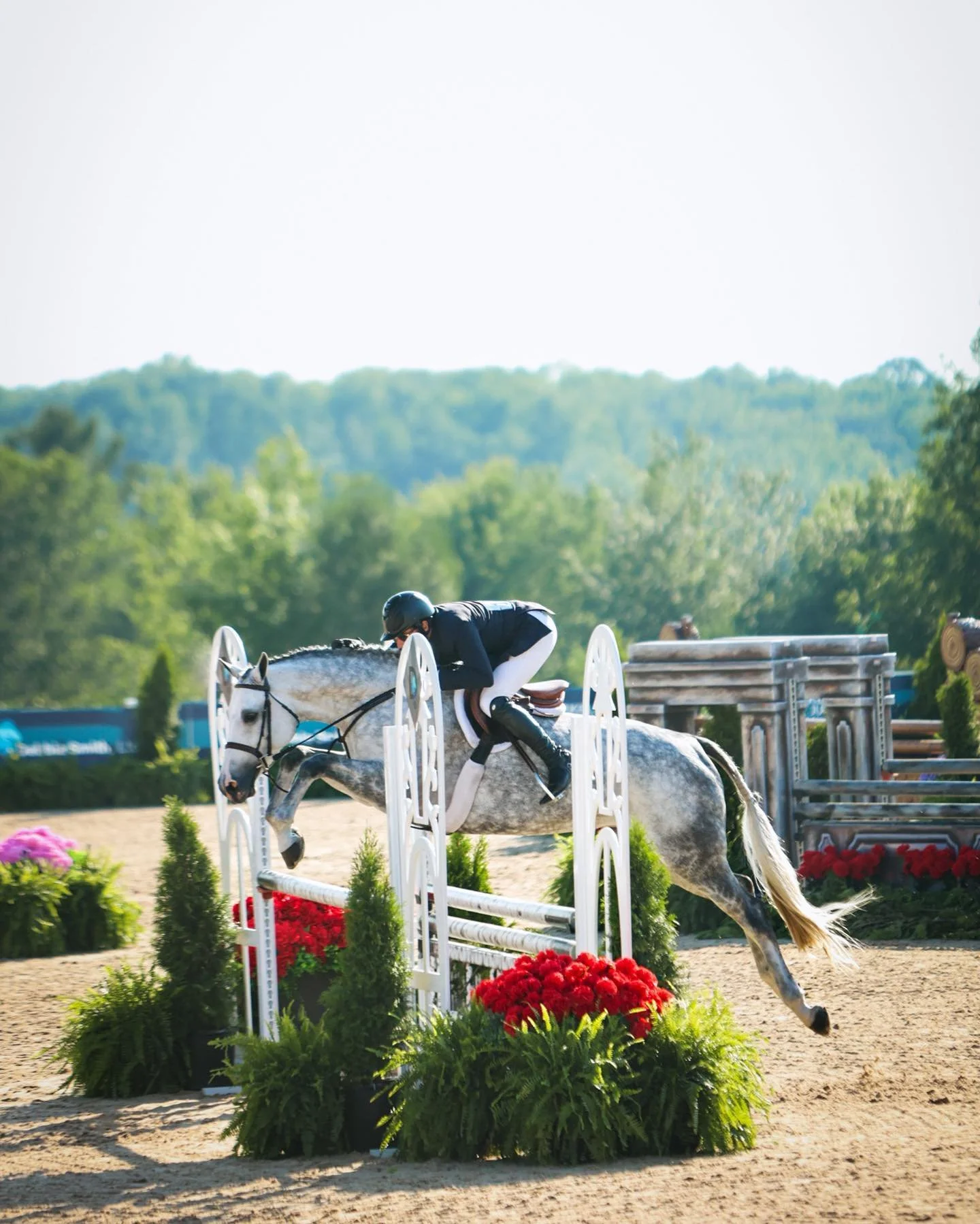 seeing double [disciplines] 🫣

&mdash;
#tchs2024 #hunterjumper #equestrianlife #traversecitytourism