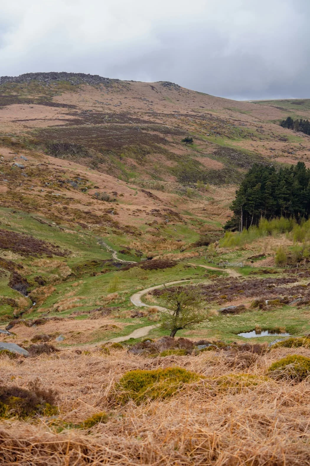 Wide landscape view of hills and countryside representing real-world campervan travel destinations | Wild Earth Campers | Cornwall