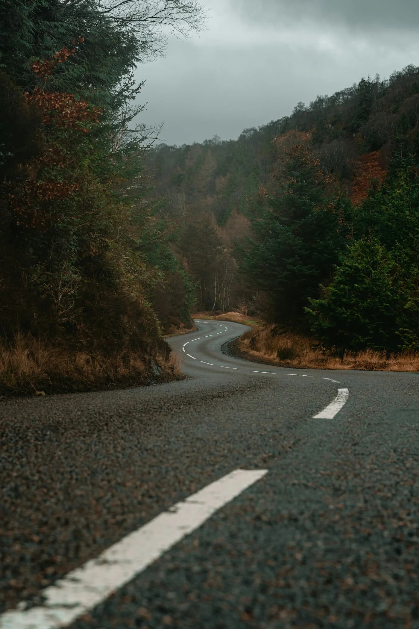 NC500 road through the forest | VW T7 for sale | Cornwall