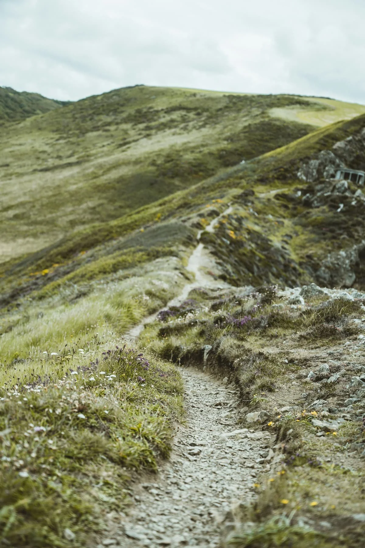 Moorland path | VW Campervans for Sale | Cornwall