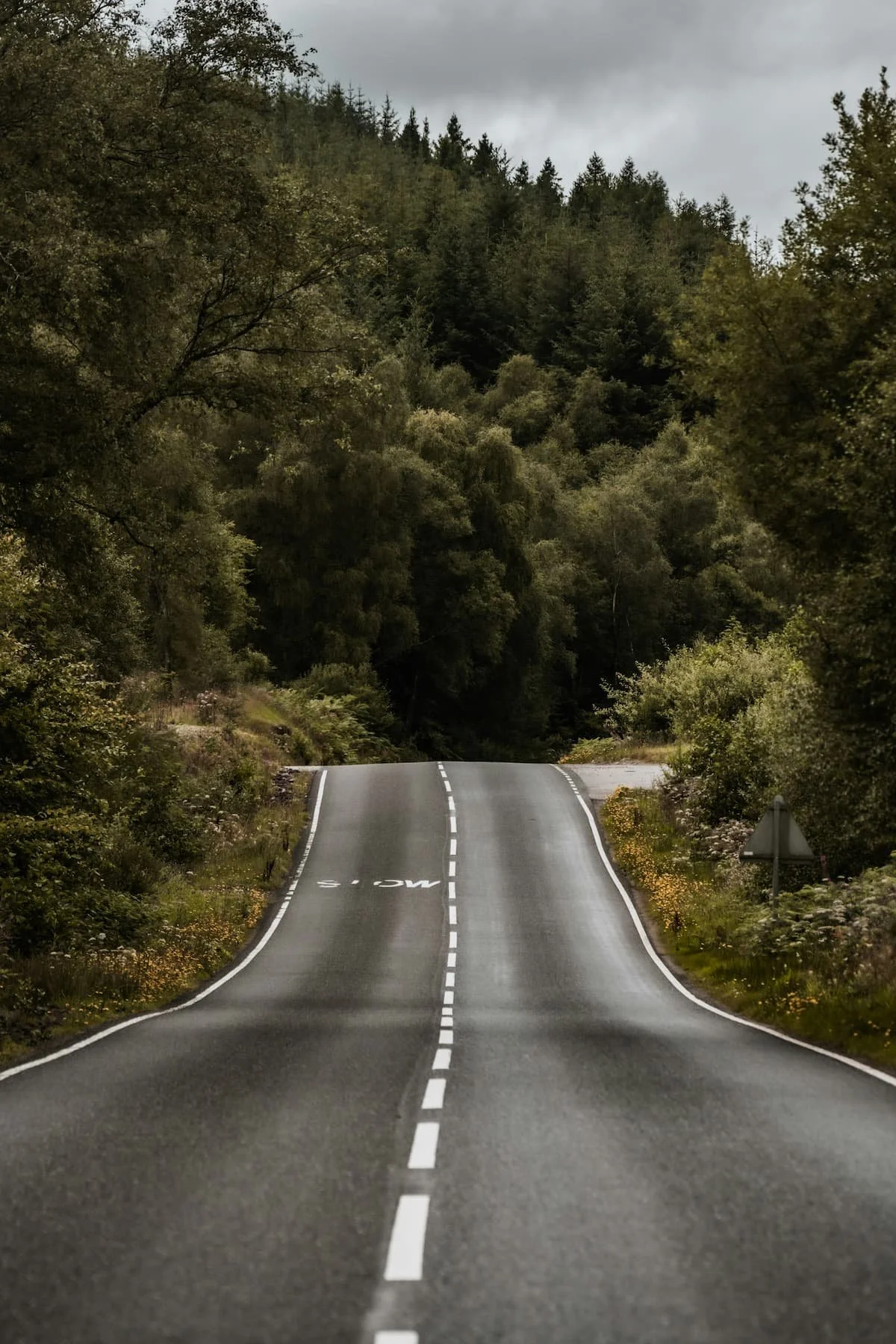 Forest road in a VW Transporter | VW Campervans for Sale | Cornwall