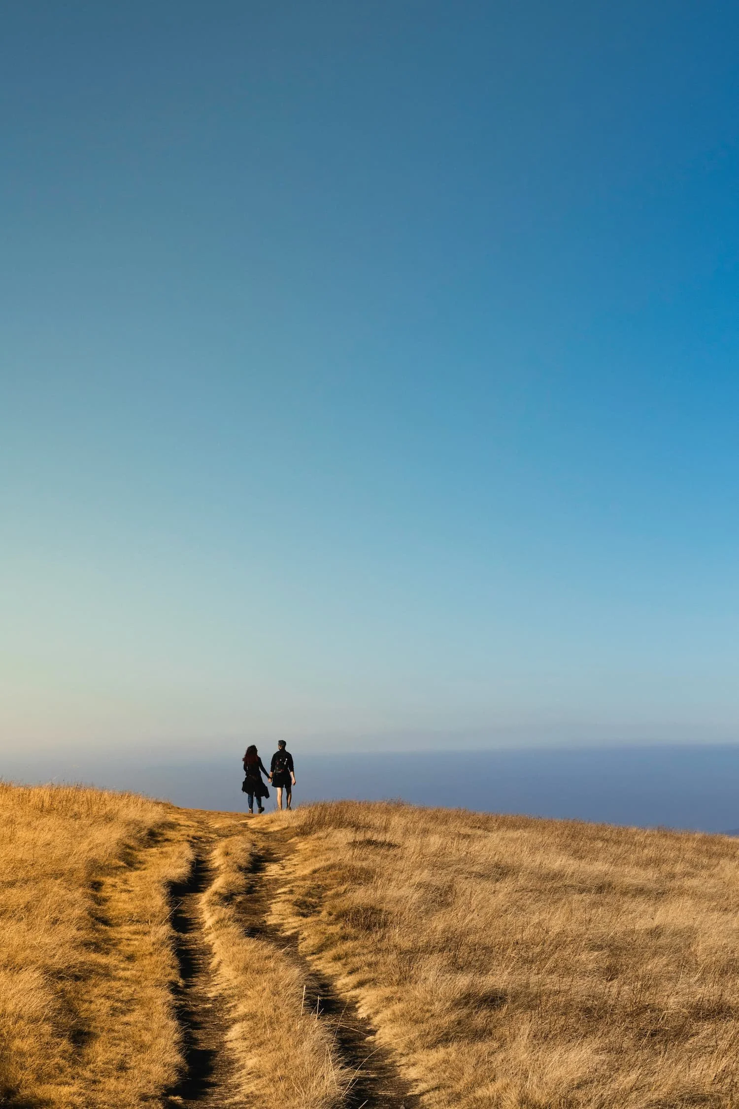 After work clifftop walk in the sunshine | VW Caddy Maxi Conversion | Cornwall