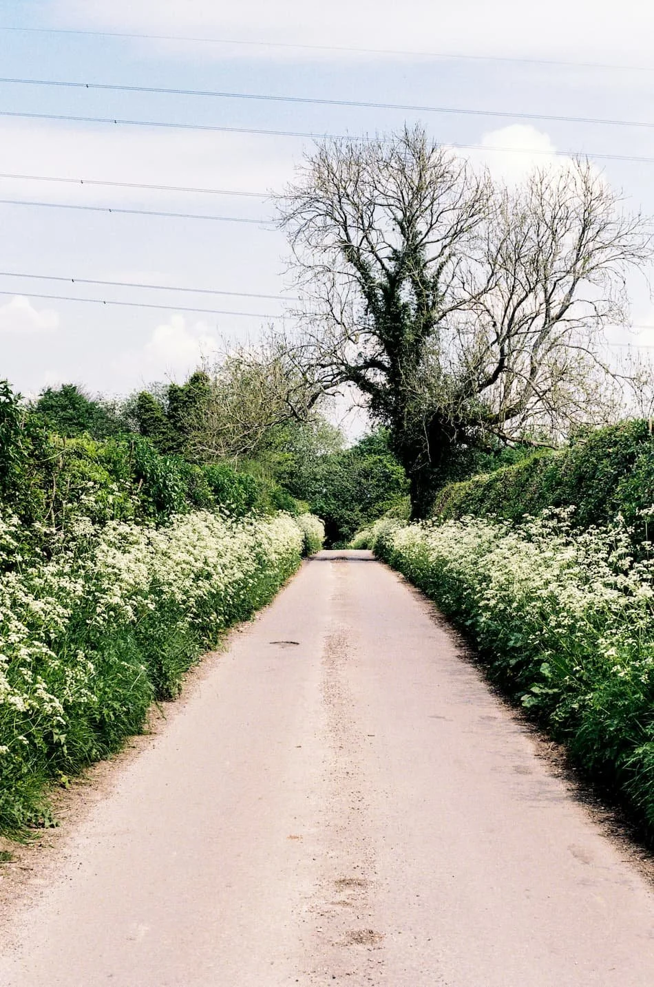 Narrow country lane | VW Caddy Micro Camper | Cornwall