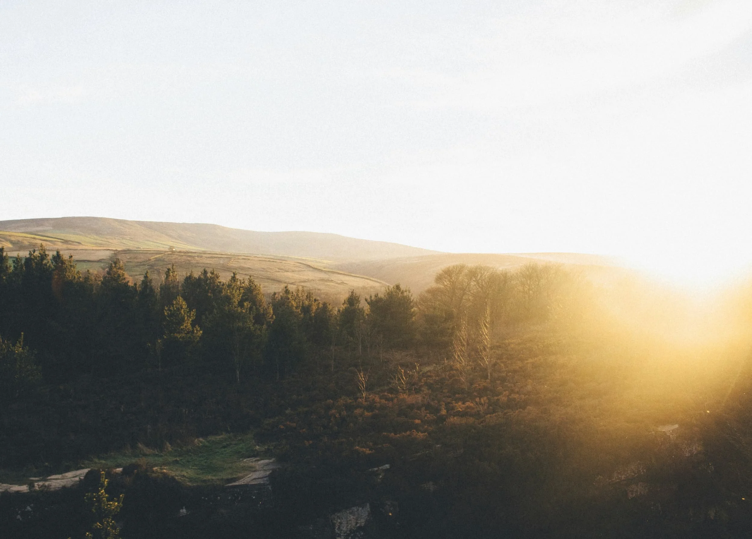 Forest landscape at sunset | Buy a VW Campervan | Cornwall
