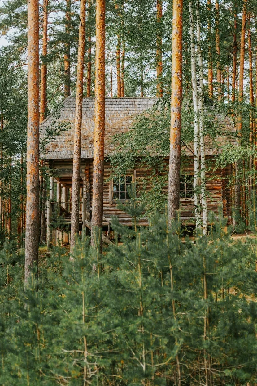 remote wood land cabin | off-grid living | Cornwall