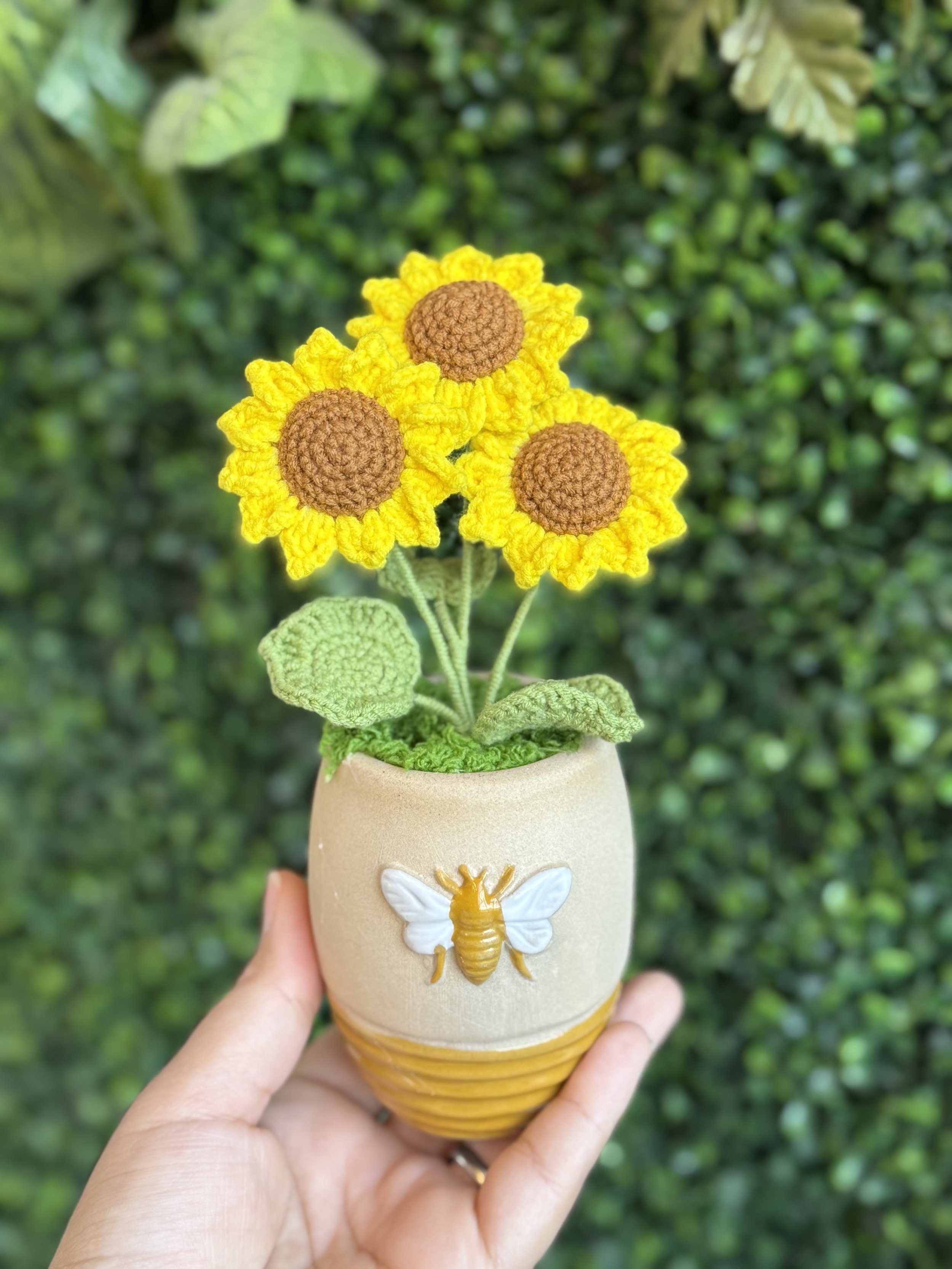 Potted Sunflowers