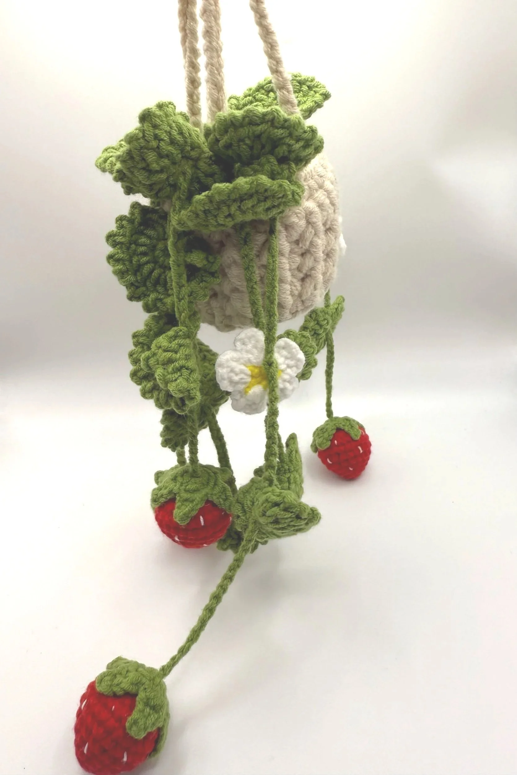 Strawberry Hanging Pot