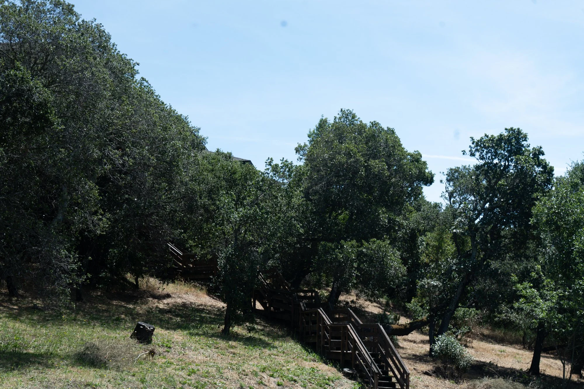 LARKSPUR TRIP-78.jpg