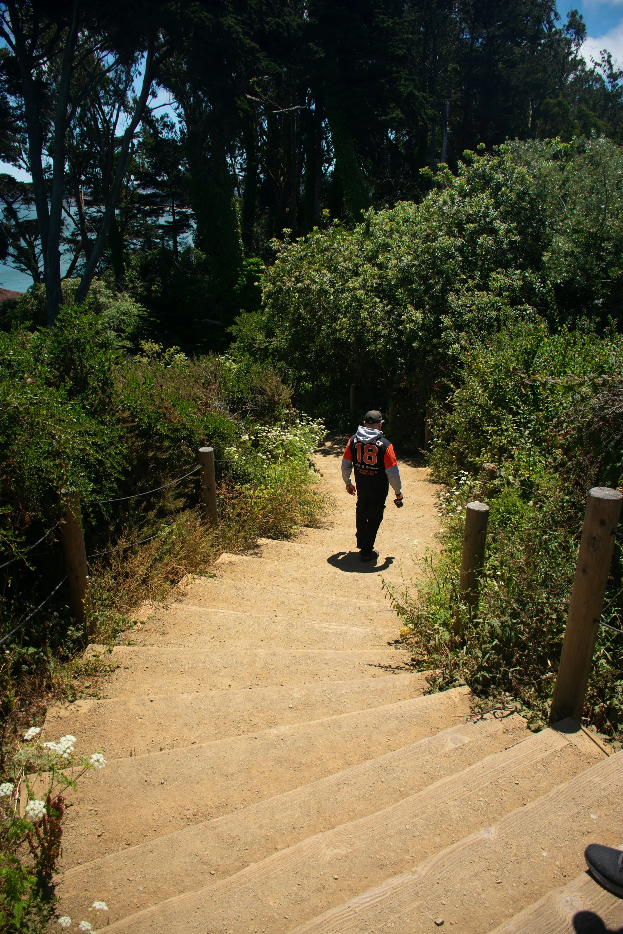 Presidio Photo Walk