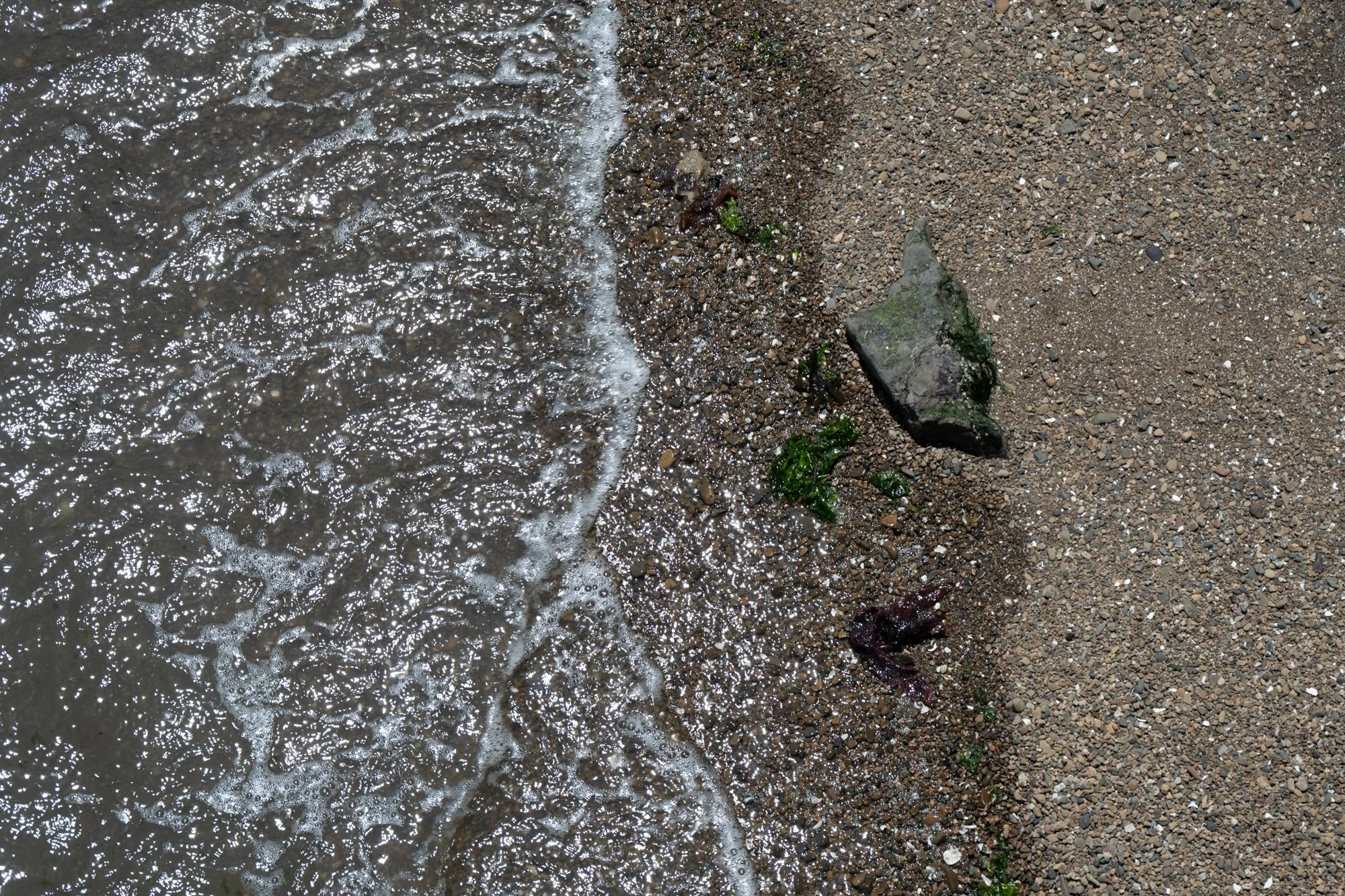 untitled-61.jpg