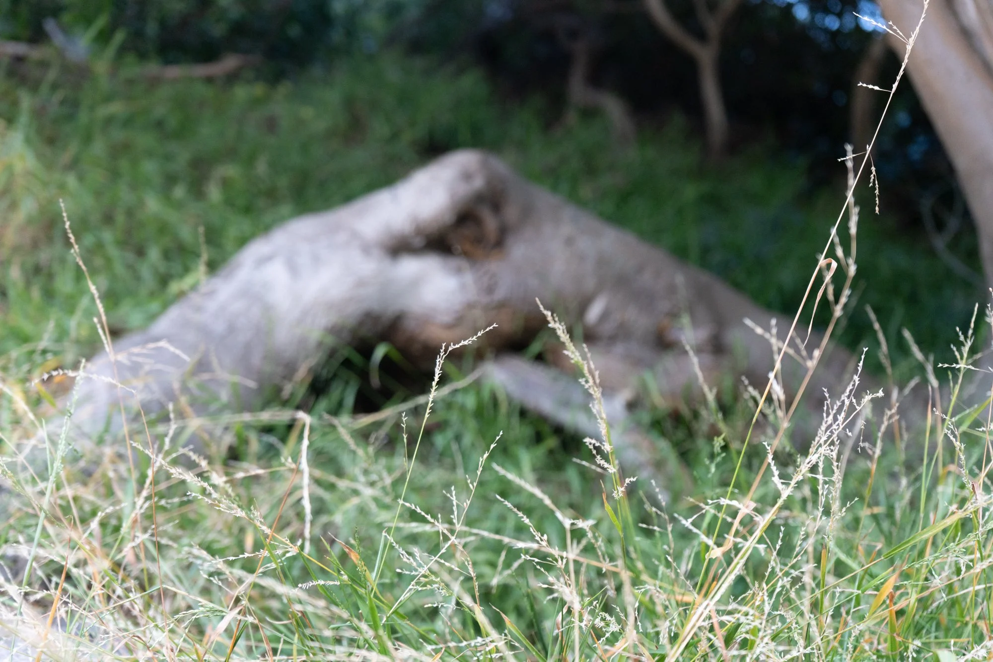 untitled-59.jpg