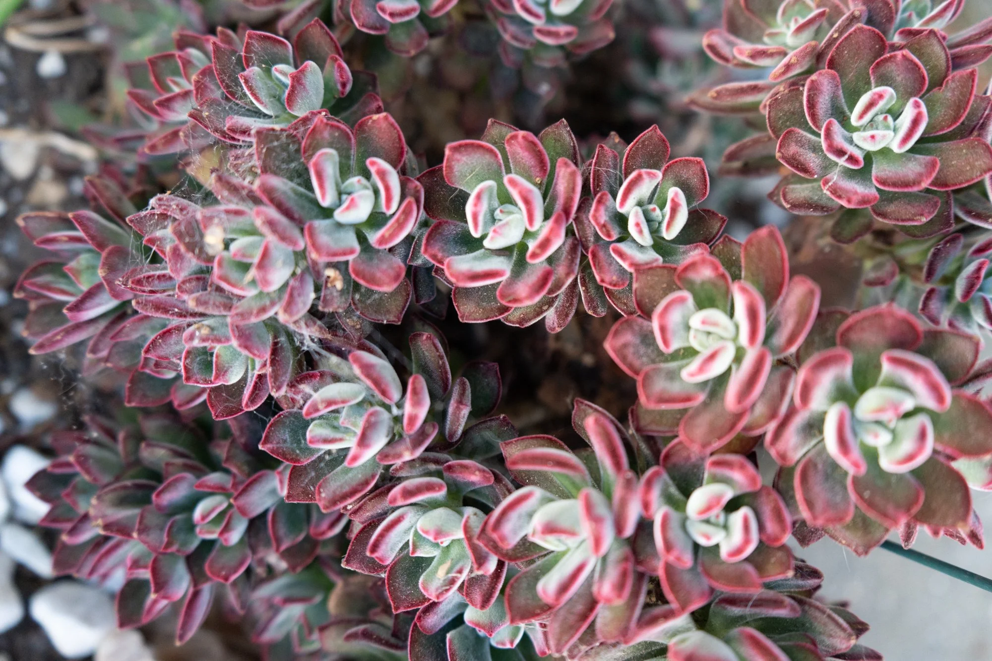 untitled-124.jpg
