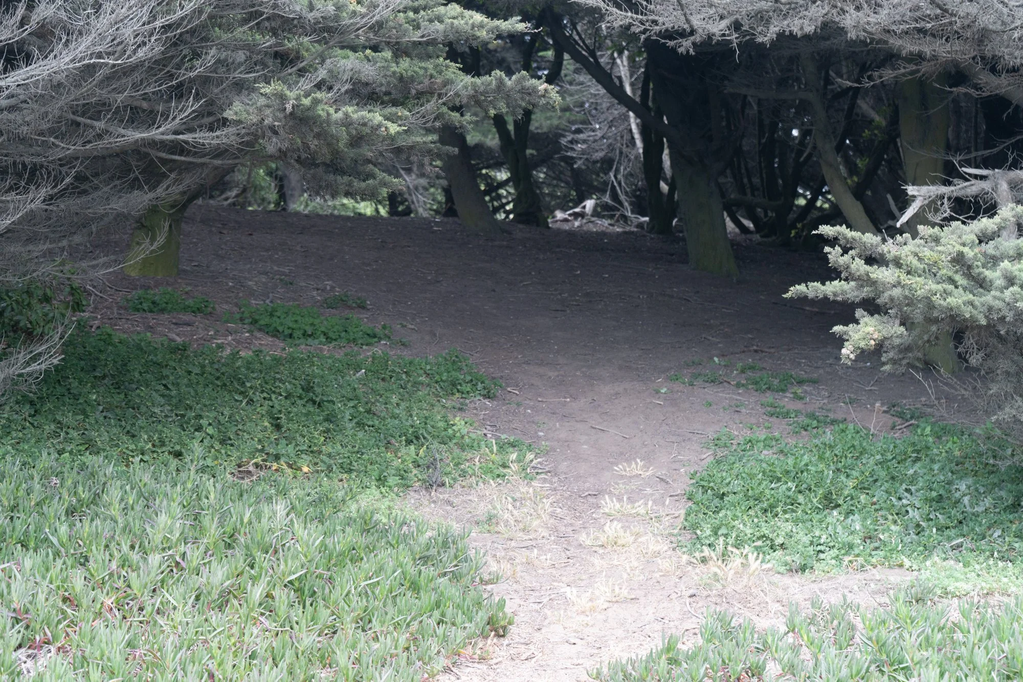 DAY TRIPS-98.jpg