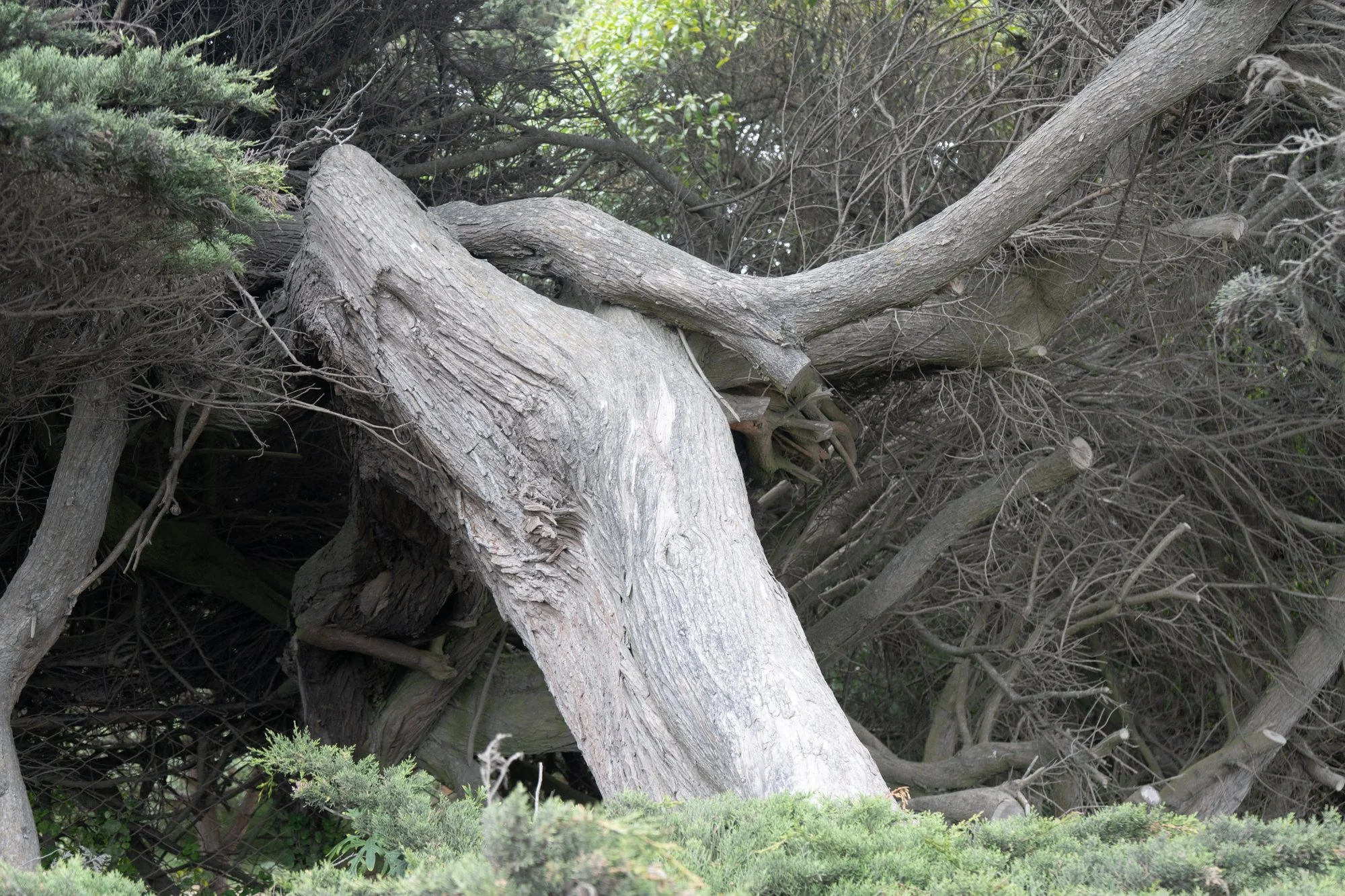 DAY TRIPS-143.jpg