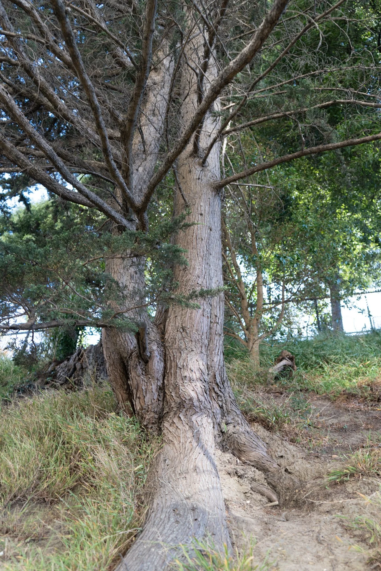 untitled-95.jpg