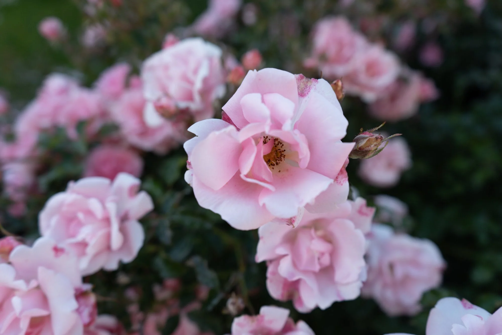untitled-111.jpg