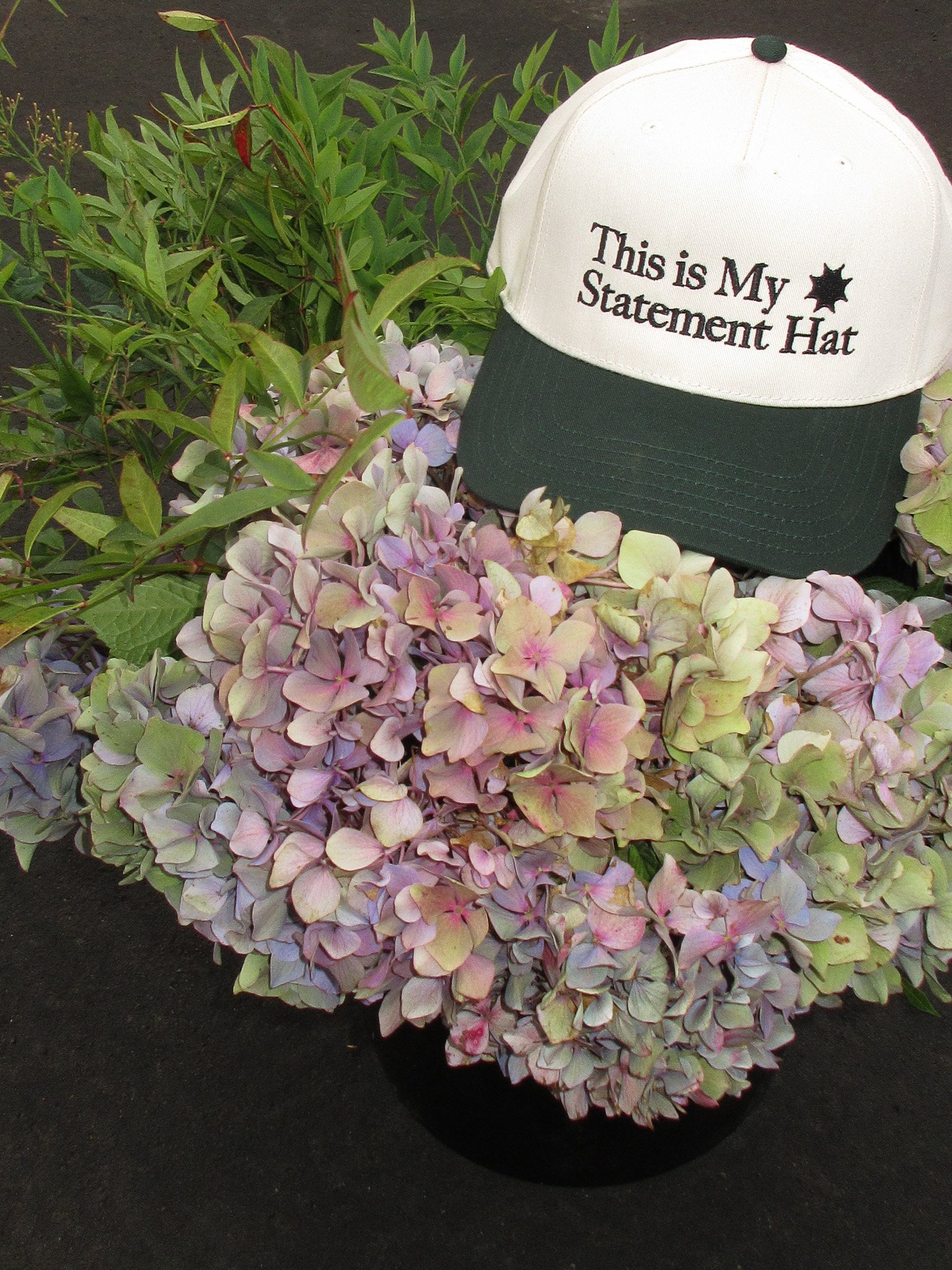 This is my State Hat Hydrangea .jpg