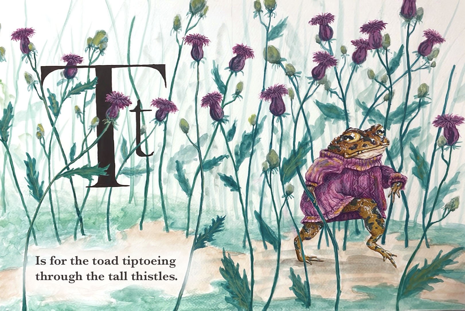 T is for Toad