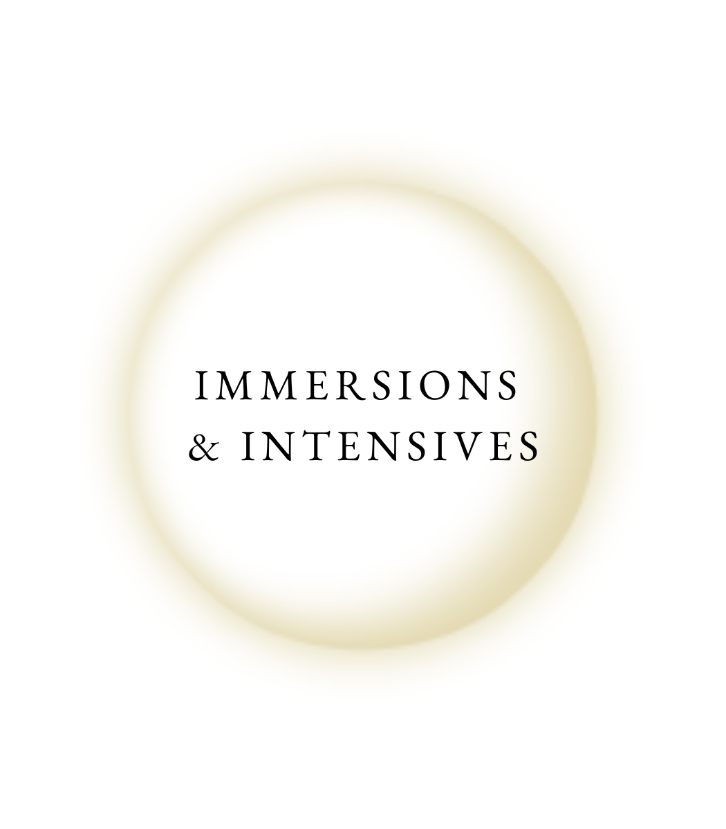 Immersions and Intensives