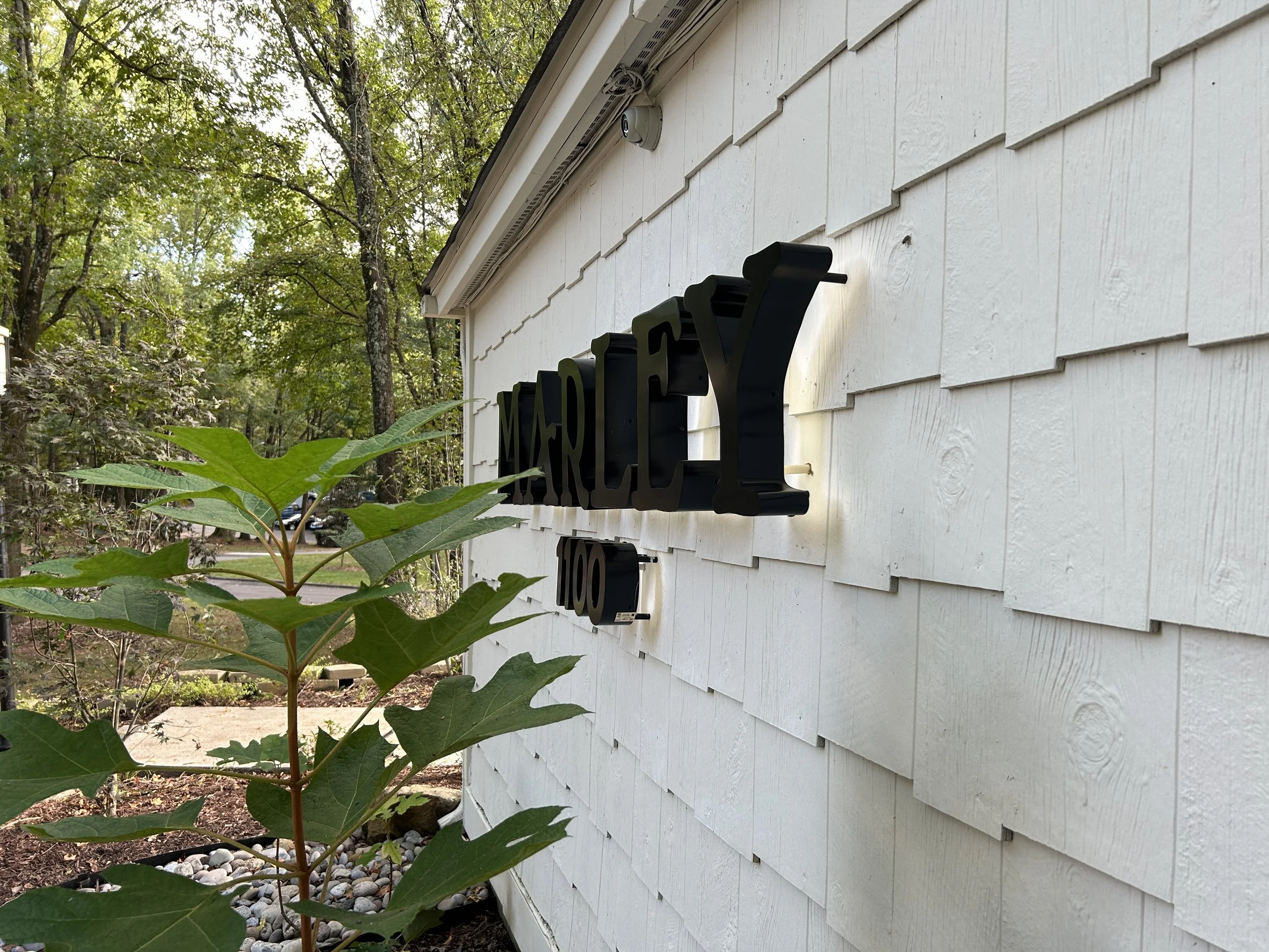 Photo Oct 03 2024, 4 24 47 PM.jpg