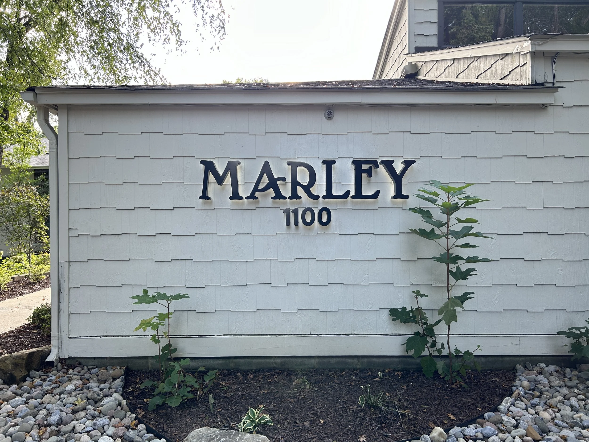 Photo Oct 03 2024, 4 38 44 PM.jpg