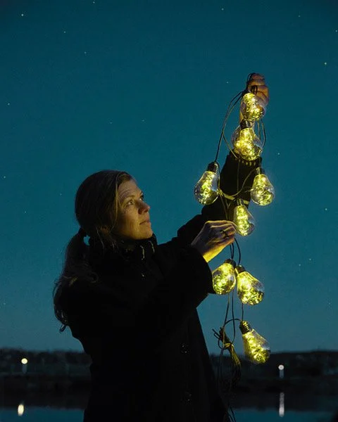 Cirkluær Jul - Rikke Borg-Lauritsen