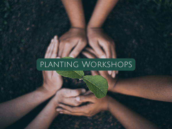 Planting Workshops