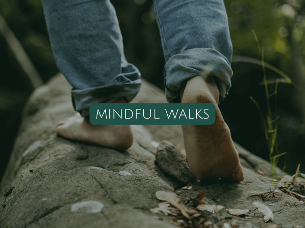 Mindful Walks