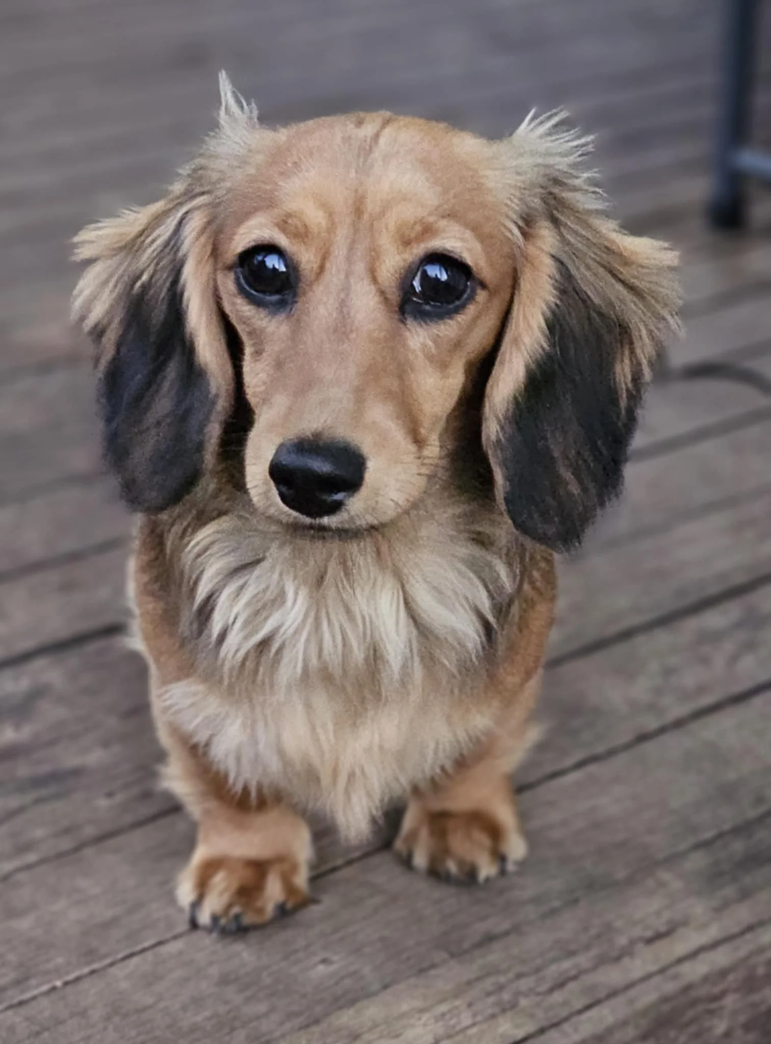 att.CwAB-UgHiiq3Hh_zmGaGC7j--aSFptMysJpPG9_KBjs 13.jpeg