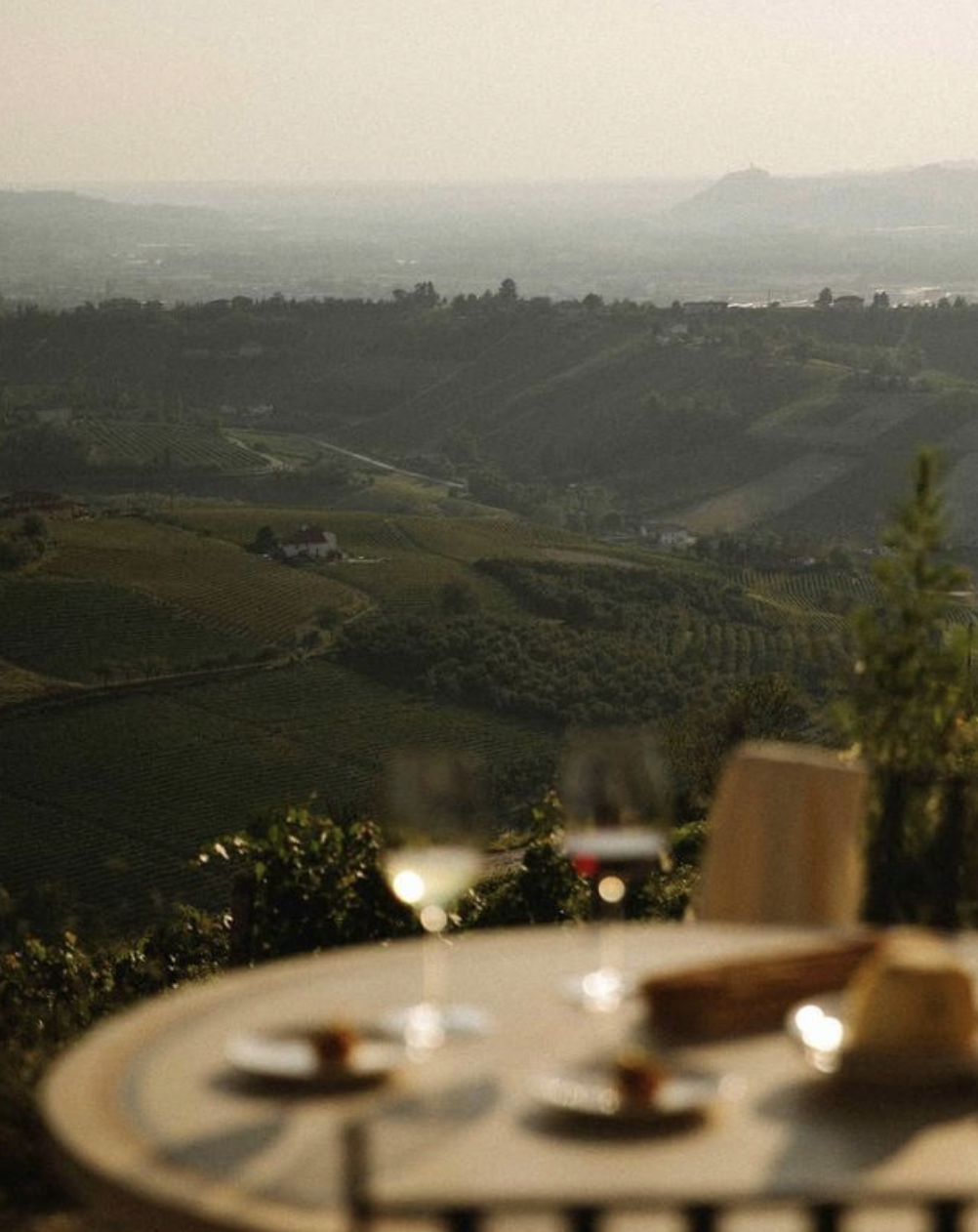 Wine School | Part I: Piedmont