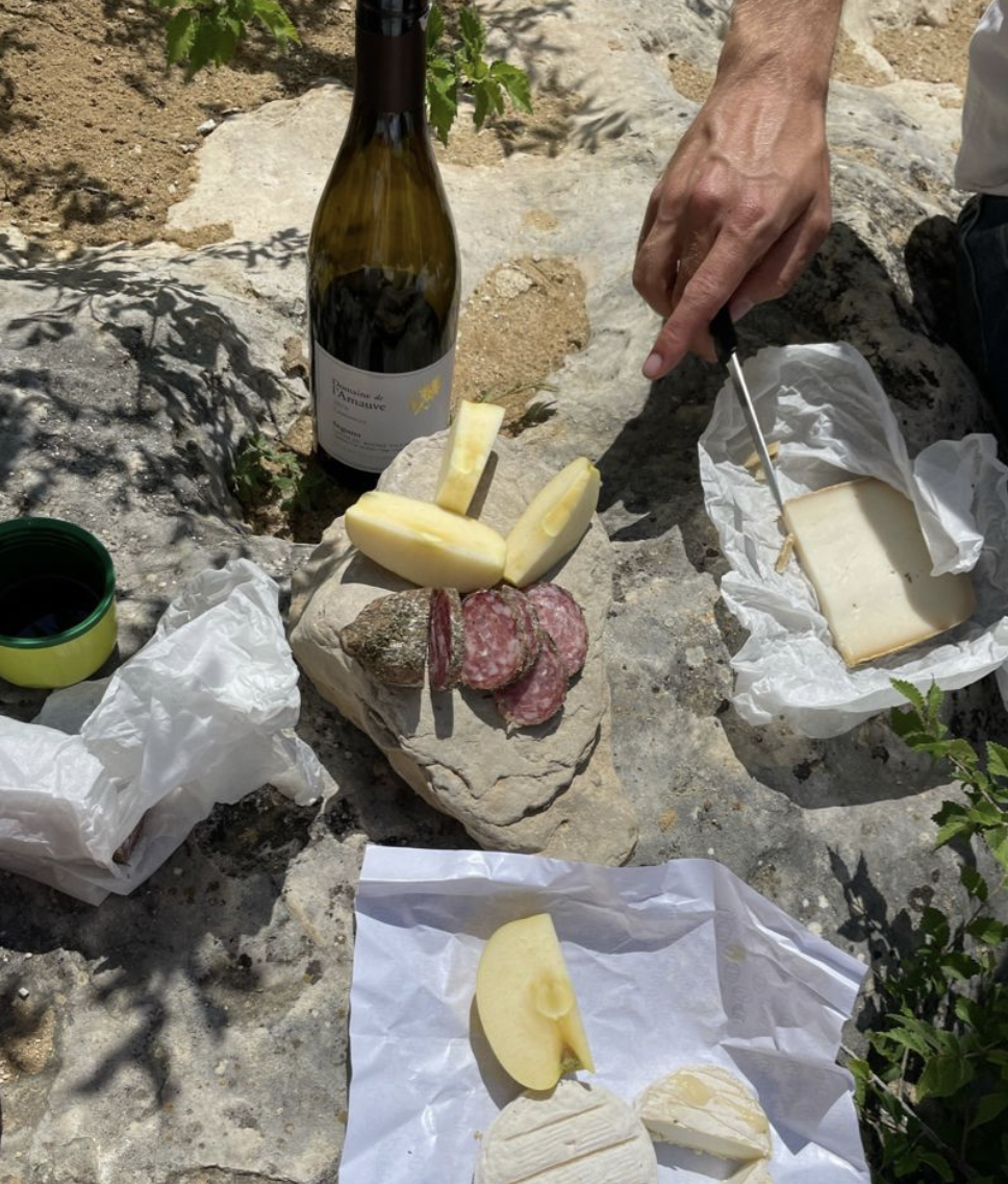 Wine School | Part II: Campania