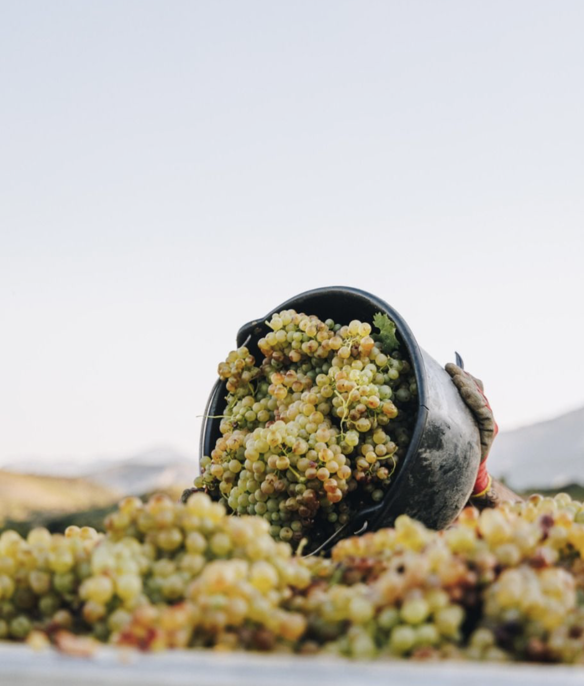 Jura, Up Close | November 29