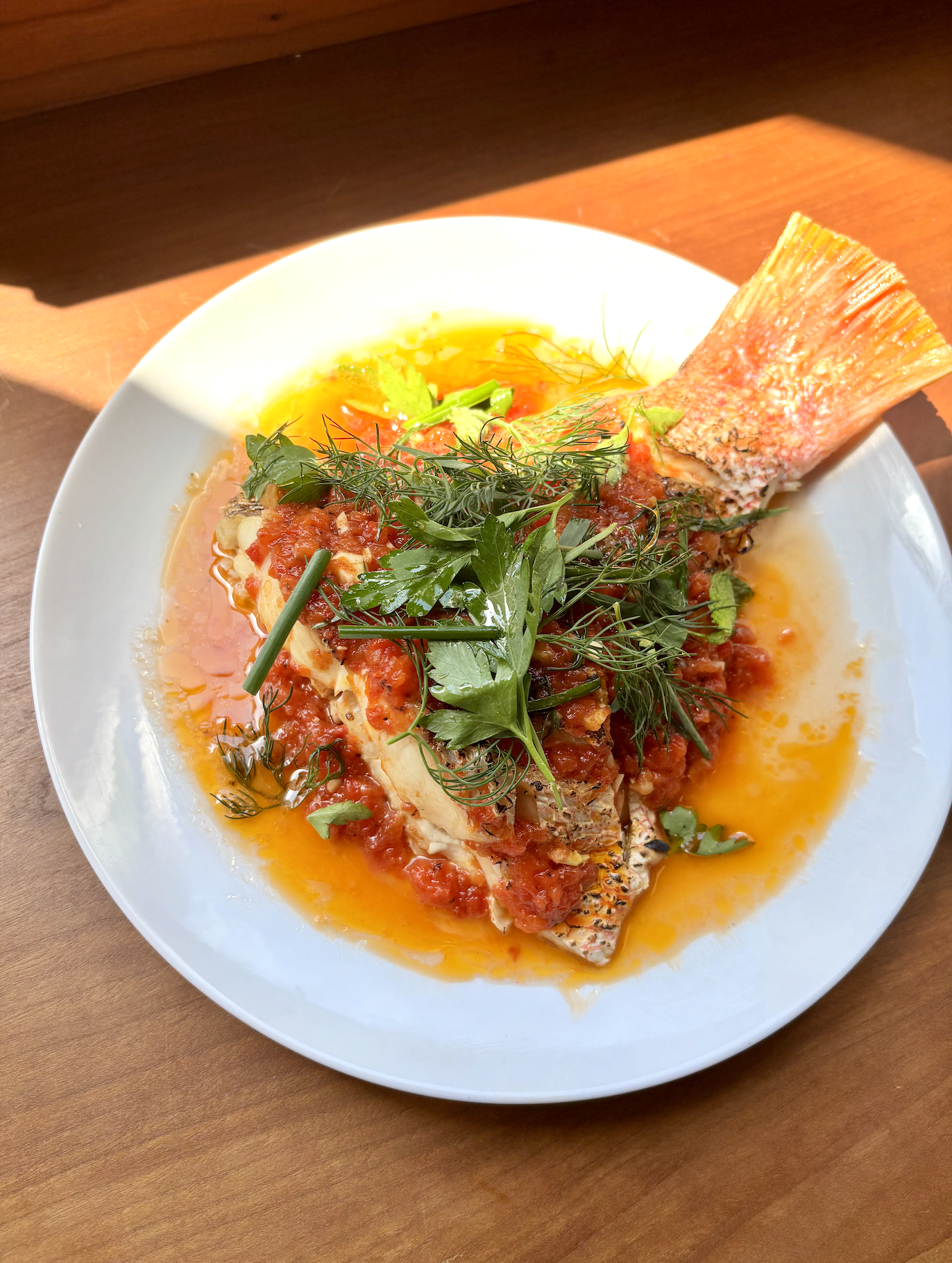 Plate of cooked fish topped with tomato sauce and fresh herbs, garnished with mixed greens and a large fish bone/fin.