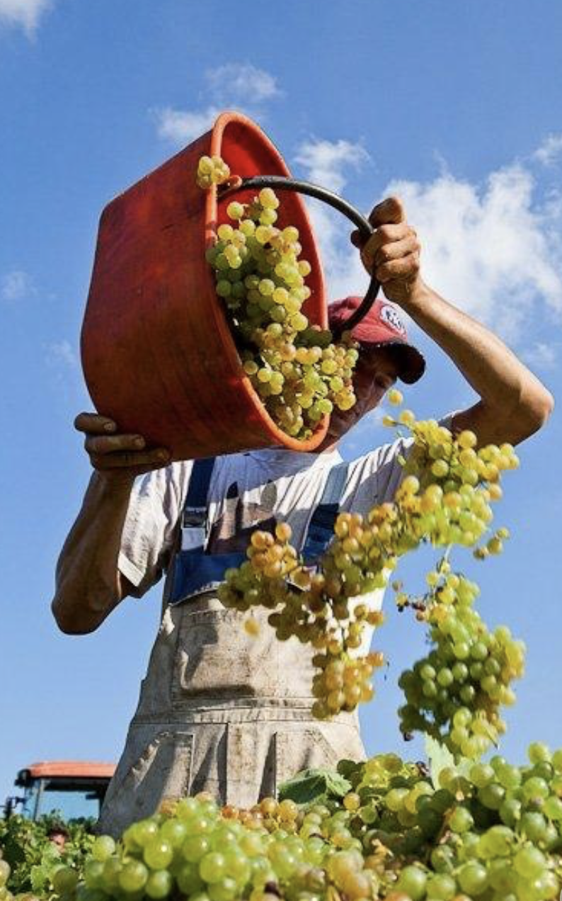 The Loire: A Region in Motion | September 20