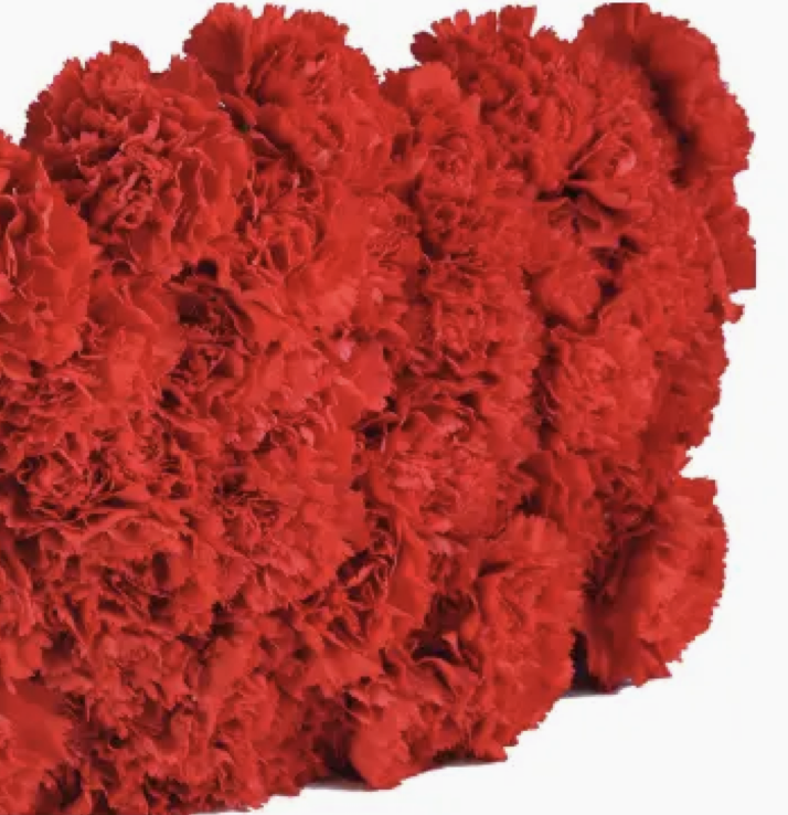 Screenshot 2026-02-04 at 11.58.45 AM.png