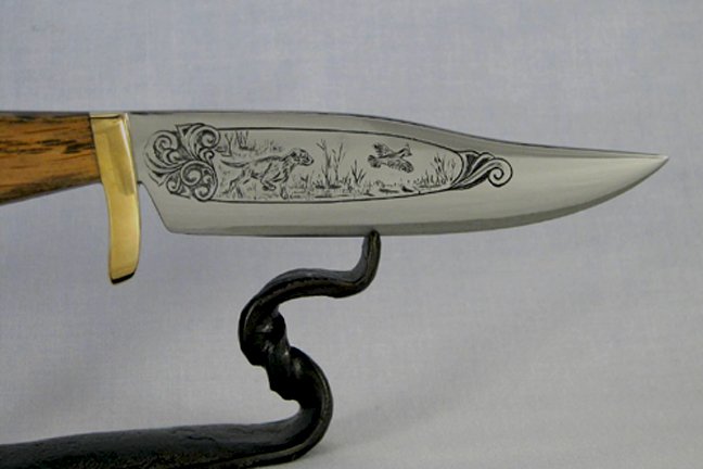 hunting dog.jpg