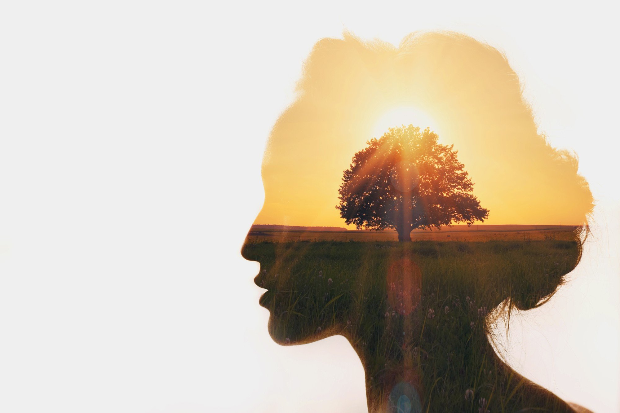 Sobriety and Mental Health: When to be Sober Curious?</a>