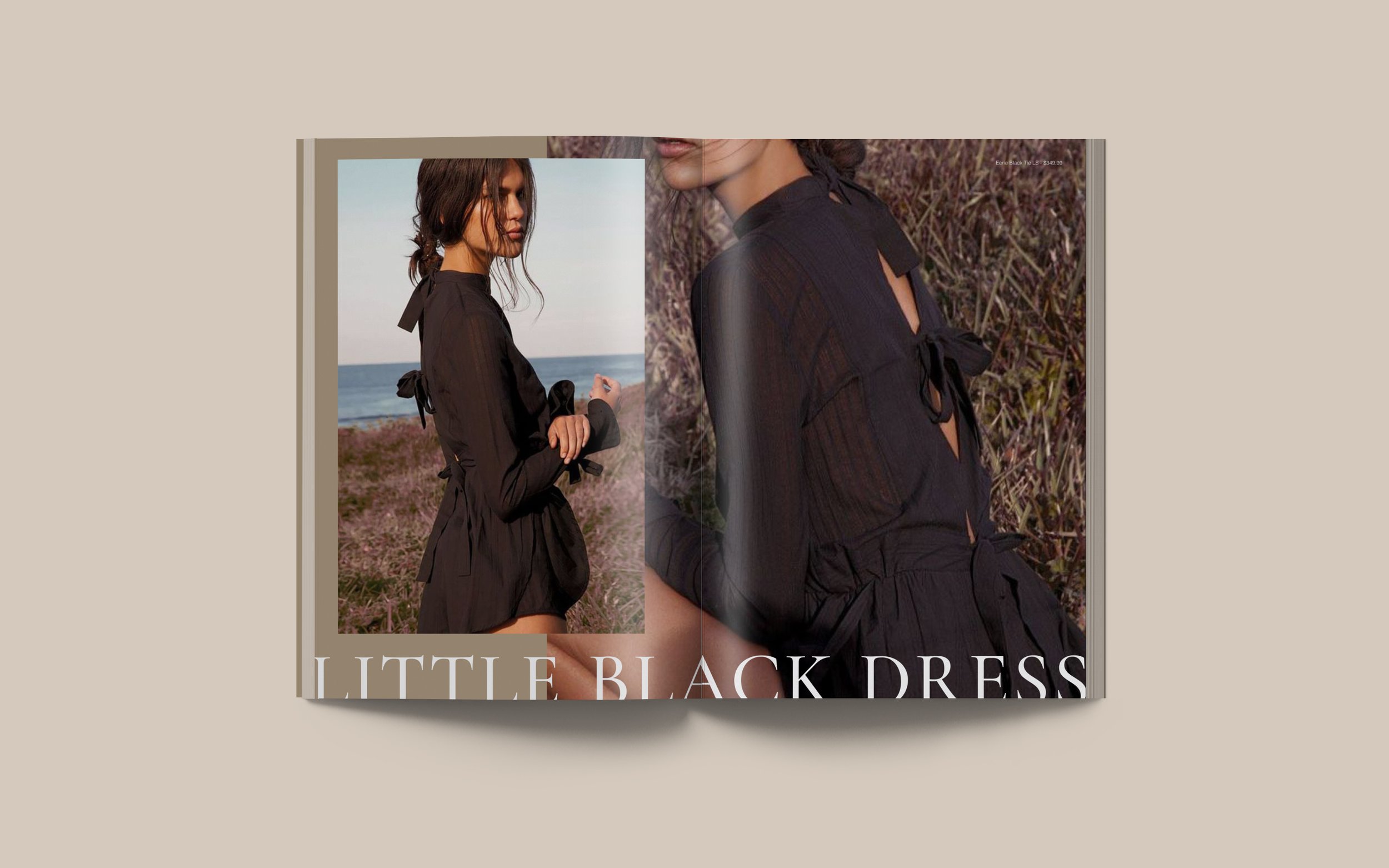 A4 spread mockup 3.jpg