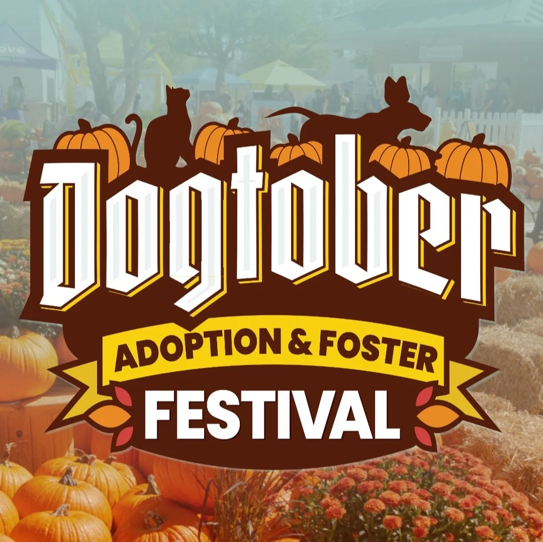 ACS Dogtober Festival