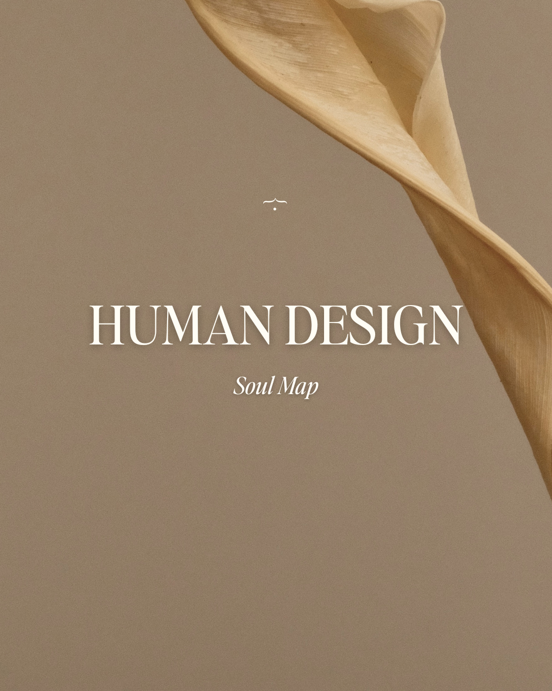 Human Design Soul Map