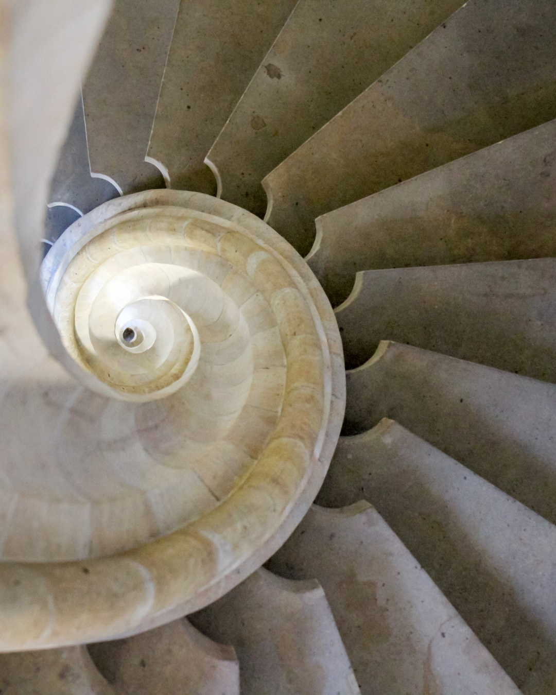 Erah Society Library. A curated collection of teachings on business, spirituality & self.