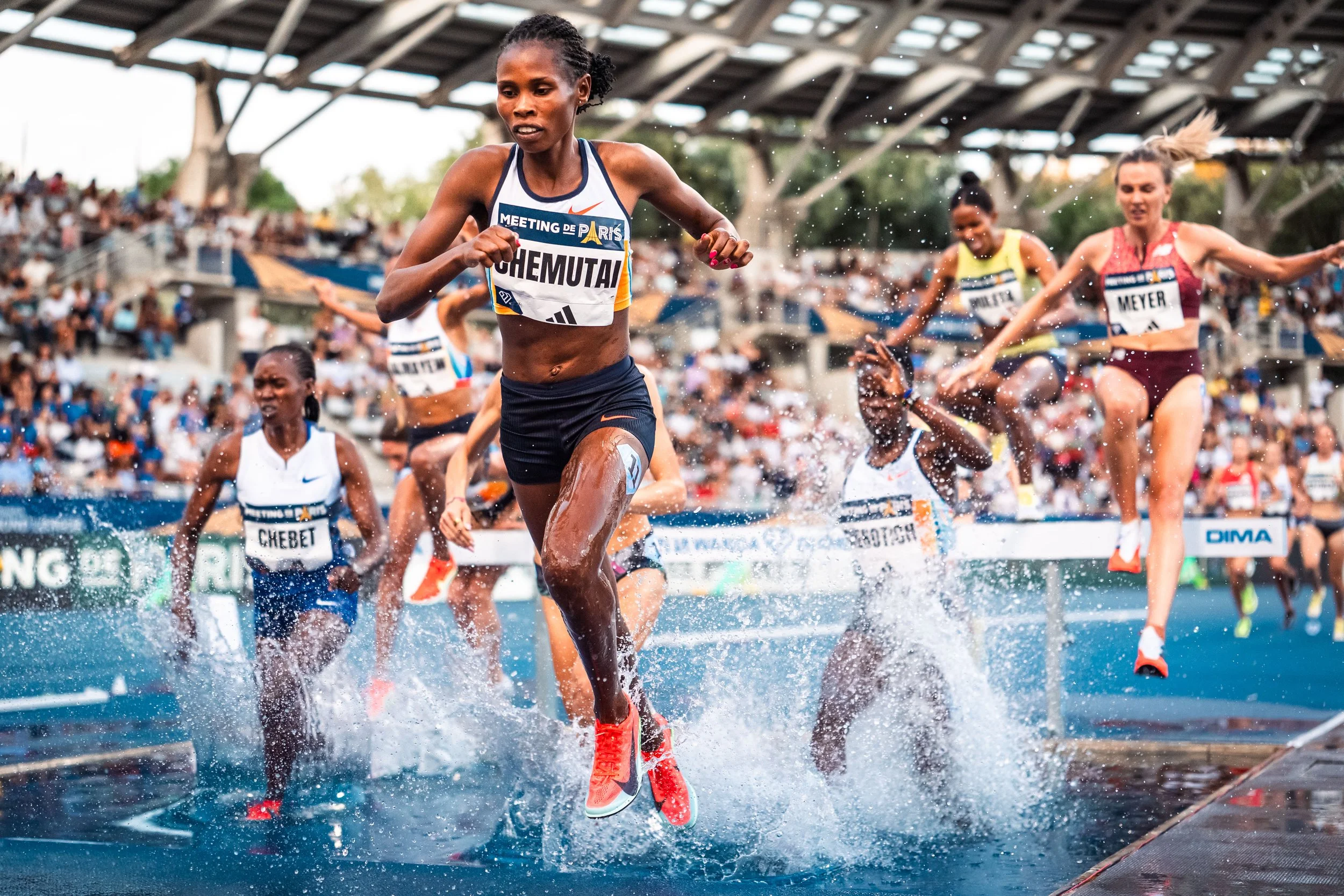 Others - alexandre martins.jpg