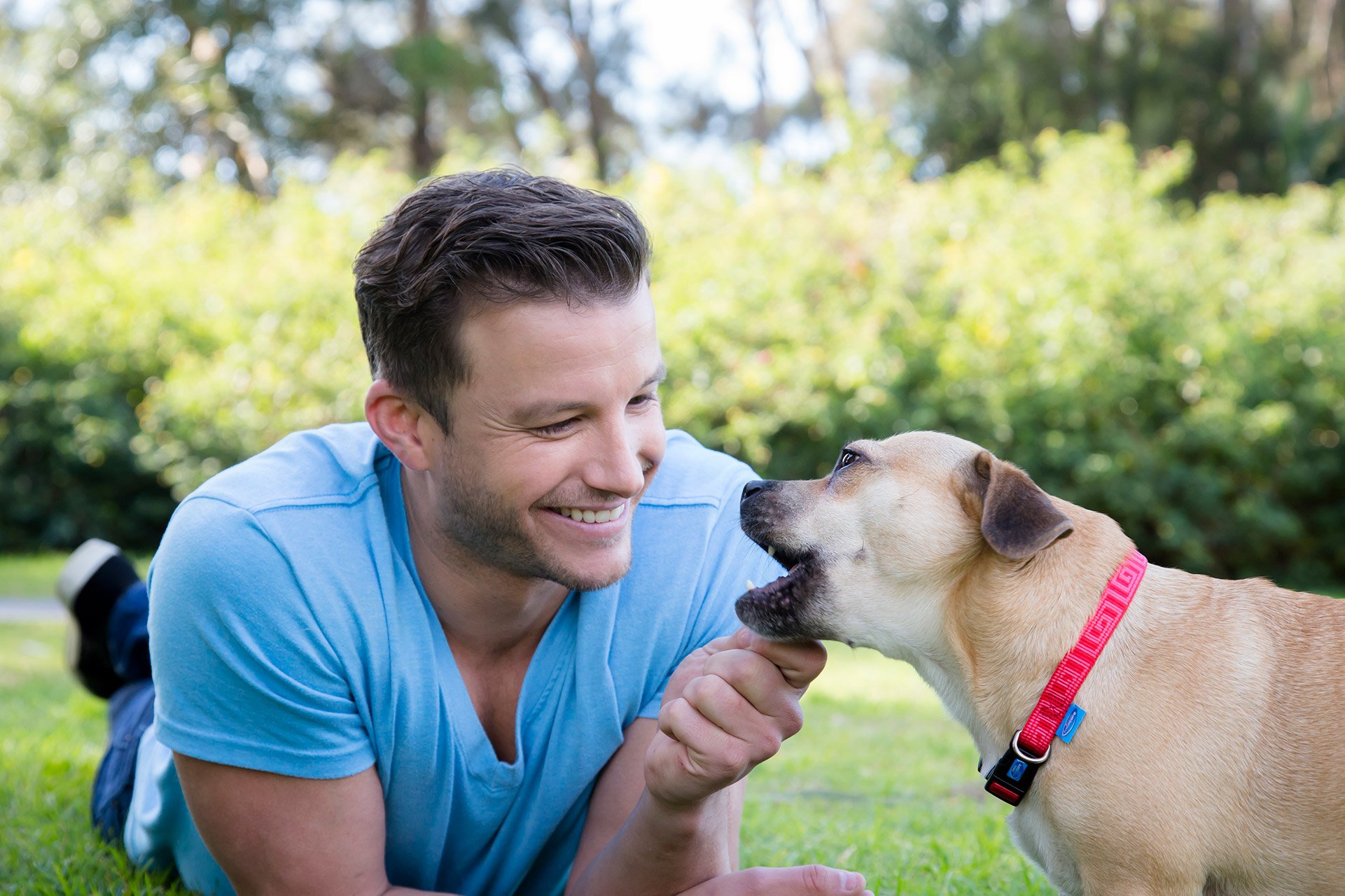  Luke Jacobz playing with dog in park brisbane kirsten cox photographer portraits 