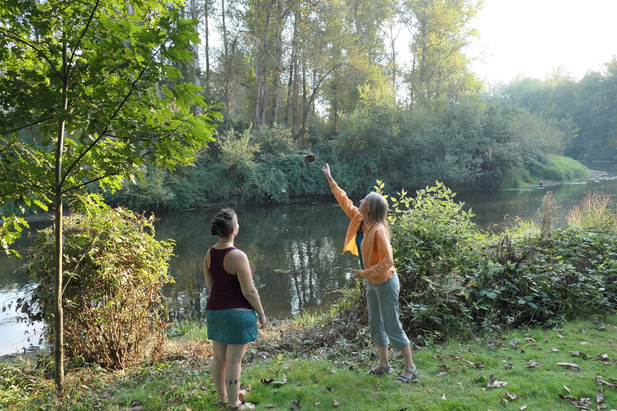 Introduction to Nature Therapy - 6 CE Course