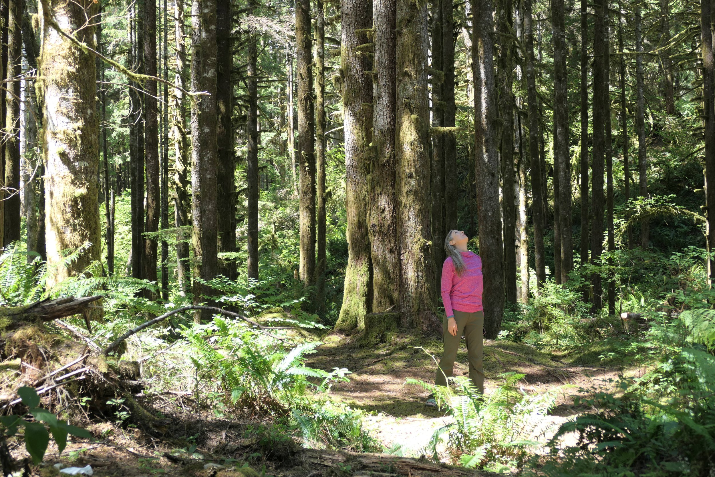 Dancing with Nature’s Rhythms