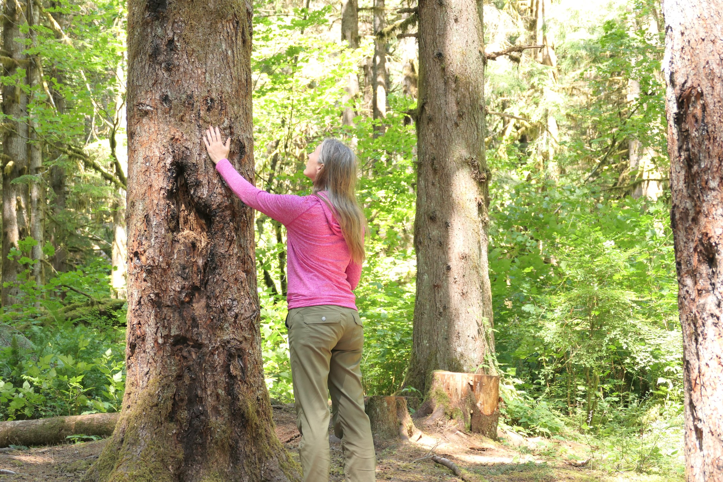 Participant standing next to a large tree with her hand on it, looking up at it's trunk.