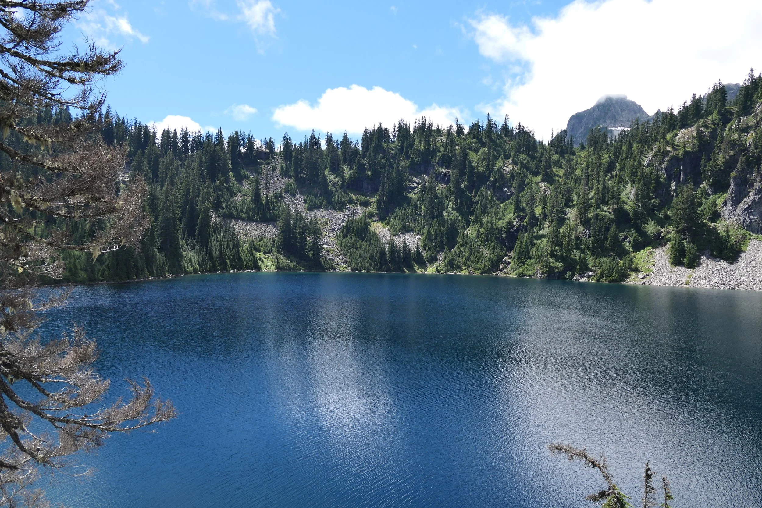 Cascade Mountains Adventure Retreats PNW Ecotherapy