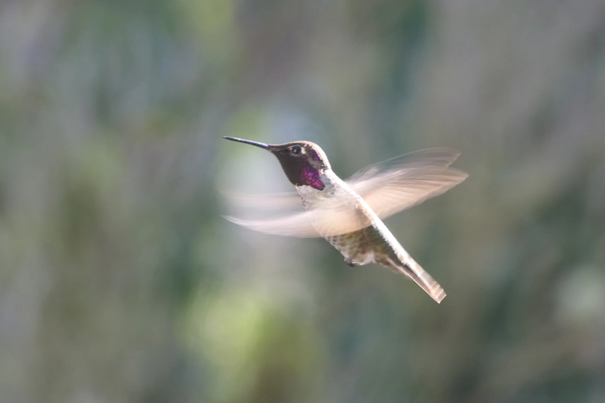Dancing with Nature's Rhythms