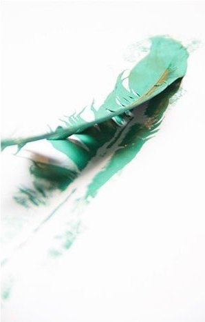 imprint of painted feather on paper