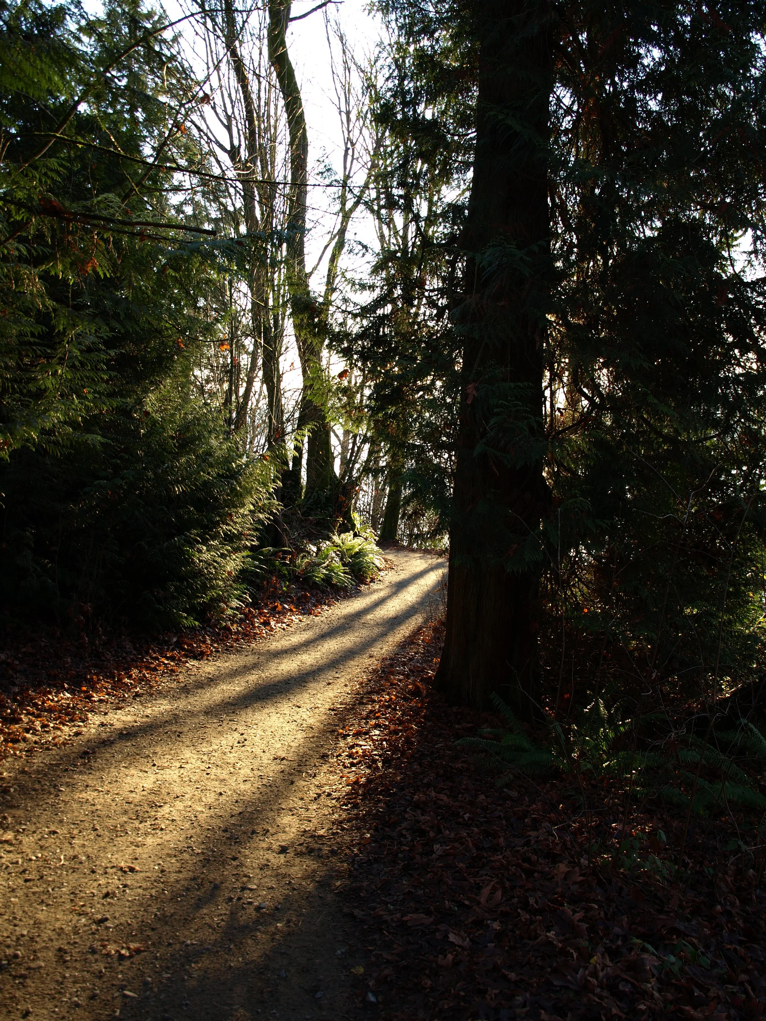 PC290149.JPG